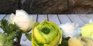 Giardinaggio e fiori recisi: chiacchiere e consigli dagli esperti