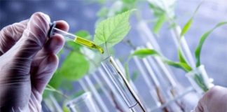 Genoma Editing: biotecnologie e agricoltura sostenibile al Dafne