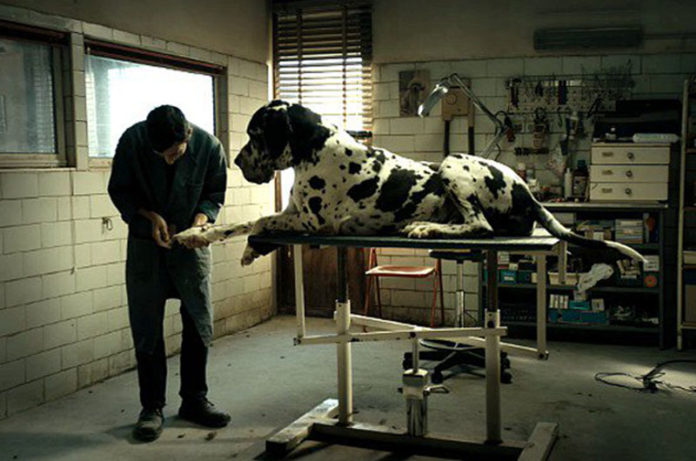 Dogman di Matteo Garrone facebook