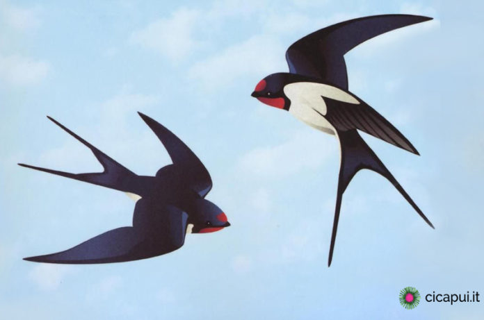 racconto maria letizia casciani 11-4