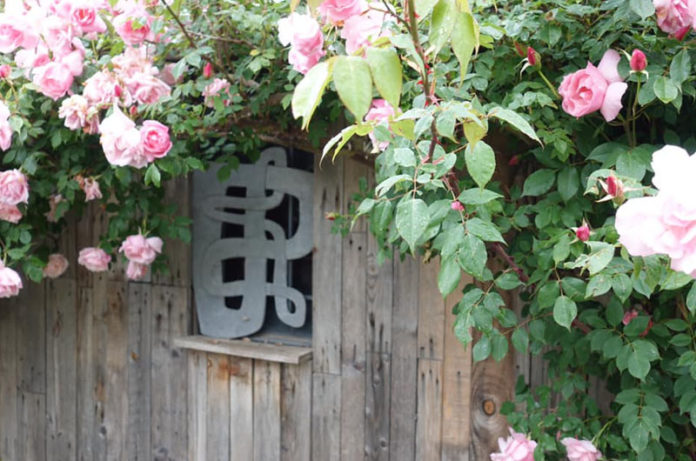 week end foto di luciano pasquini