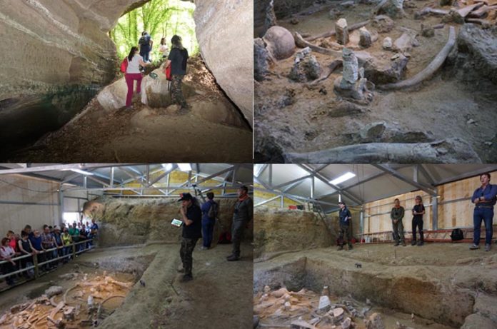 Sulle orme degli Elefanti