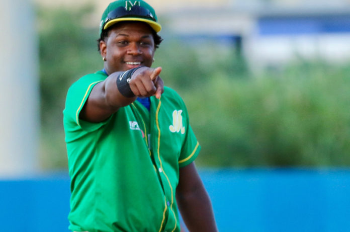 Un riccio rimasto orfano