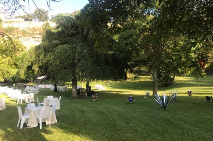 Tra i rami dell’arte