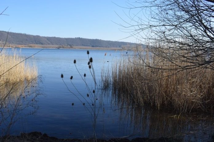 lago di vico lago di vico