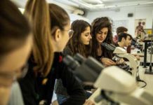 L’Istituto Omnicomprensivo di Orte individuato dal Miur per il potenziamento/orientamento biomedico