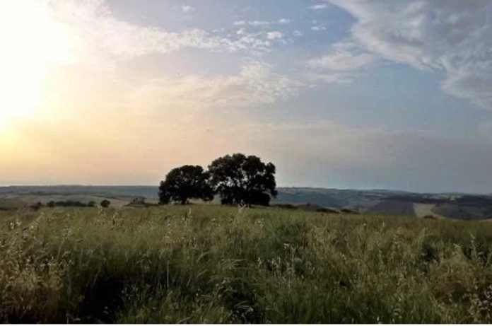 Impianto fotovoltaico Pian di Vico Tuscania,