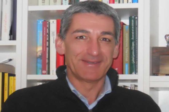 Saladino Immagine