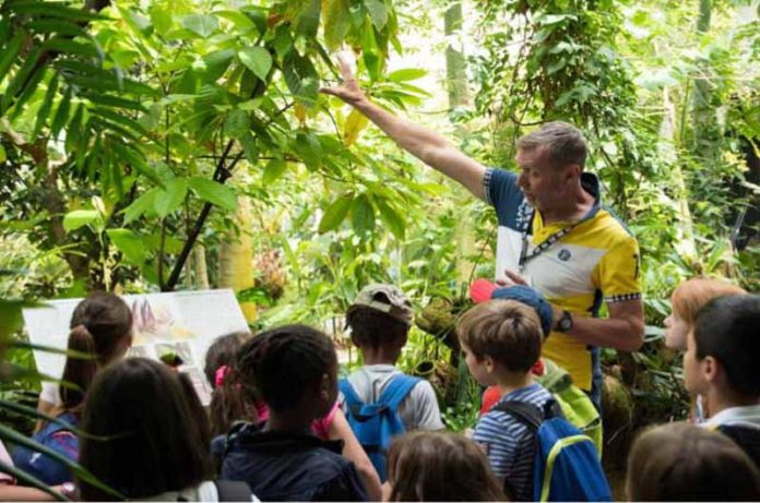 copculture spazio dl cielo