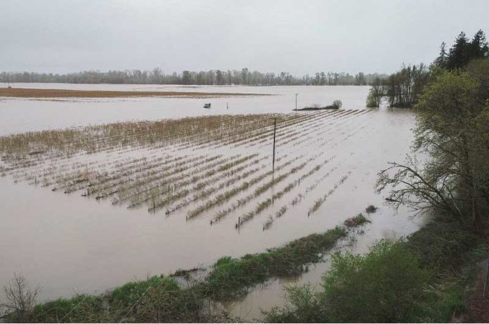 danni maltempo coldiretti