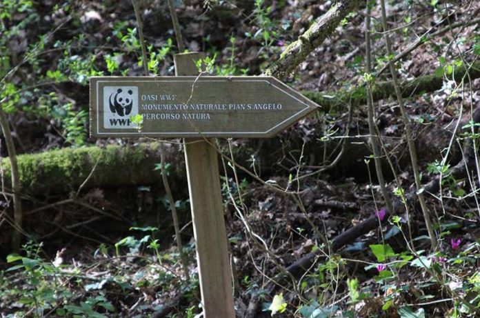 oasi-wwf-pian-sant-angelo-corchiano-agro-falisco-og