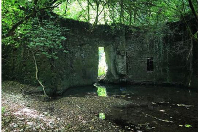 parco marturanum _ andreabarbini parco marturanum