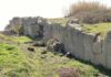 Tra Terra e Mare 2026, alla scoperta di Pyrgi con l’archeologo Alessandro Conti al Parco Palombini di Tarquinia scavi-pyrgi-768x576