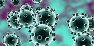 Coronavirus: in arrivo libri per gli studenti in quarantena