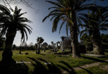 Orto Botanico Angelo Rambelli di Unitus promuove il concorso “I semi che raccontano. Storie di vita, attesa e rinascita”, Orto botanico