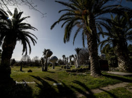 Orto Botanico Angelo Rambelli di Unitus promuove il concorso “I semi che raccontano. Storie di vita, attesa e rinascita”, Orto botanico
