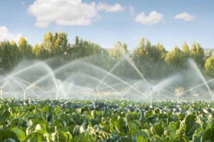 le imprese agricole hanno bisogno di acqua