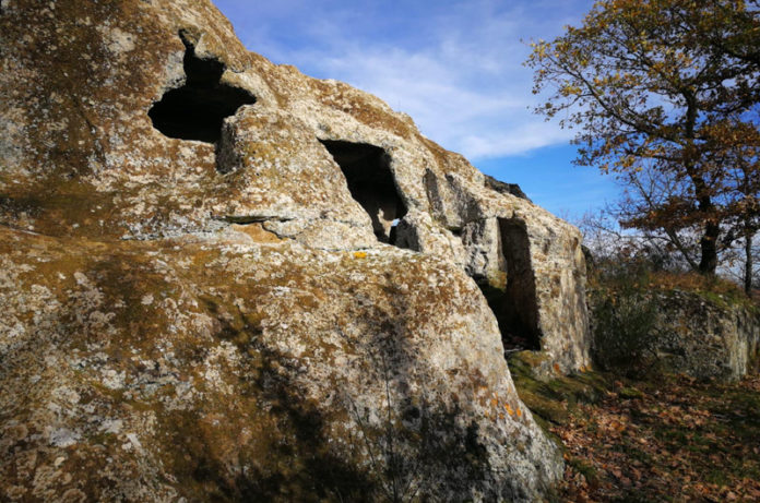 vallerano asini