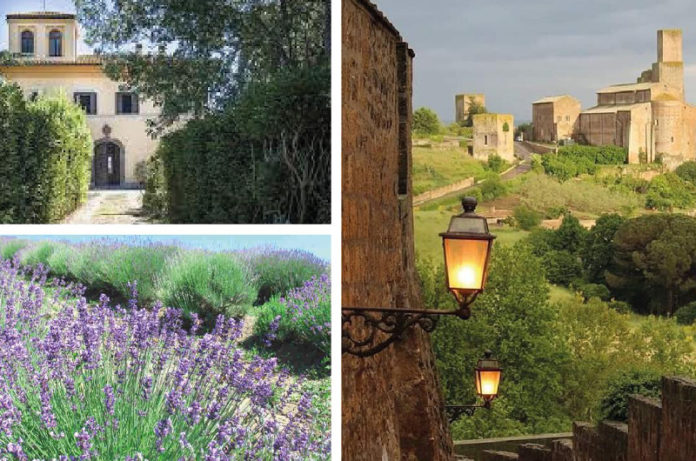 Collage Terzieri e Campi di Lavanda