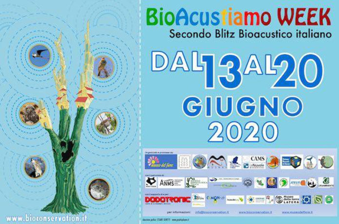 bioacustic2020 copia