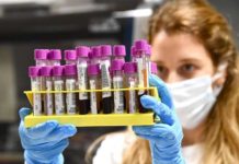 Coronavirus, Asl Viterbo: “Otto casi accertati oggi a Belcolle e tre pazienti guariti”