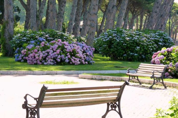 weekend 20-21 giugno