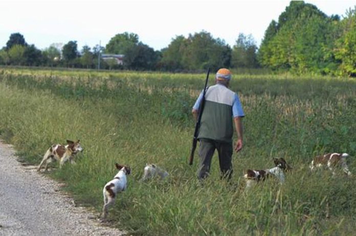 apertura caccia apertura caccia