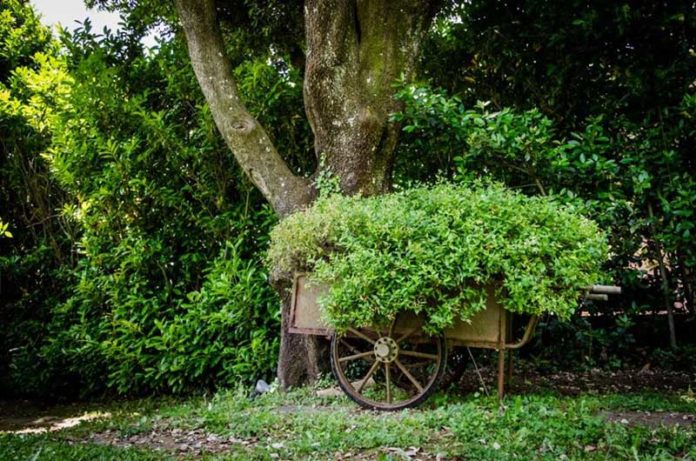 weekend 25-26 luglio foto La canonica dei Fiori Anna Fendi