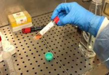 coronavirus asl viterbo