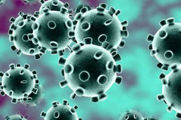 maria teresa muratore