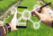 Master in Agricoltura di Precisione dell’Università della Tuscia per le figure professionali del futuro