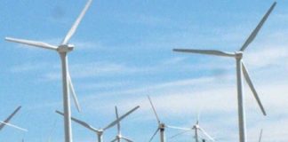 pale eoliche