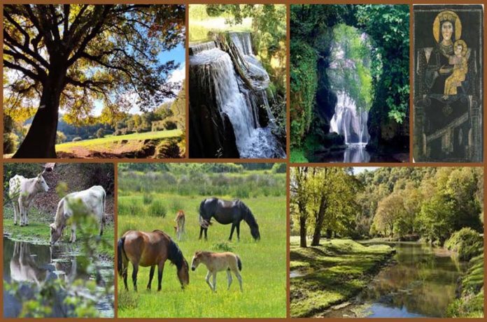 parco di veio_antico presente