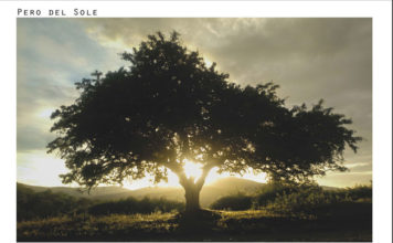 CAI-Oriolo, oltre 140 foto per la prima edizione del concorso fotografico Sguardi nella Tuscia