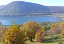 riserva naturale lago di vico