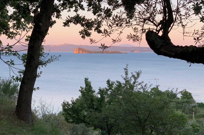 Lake-through-olive-trees
