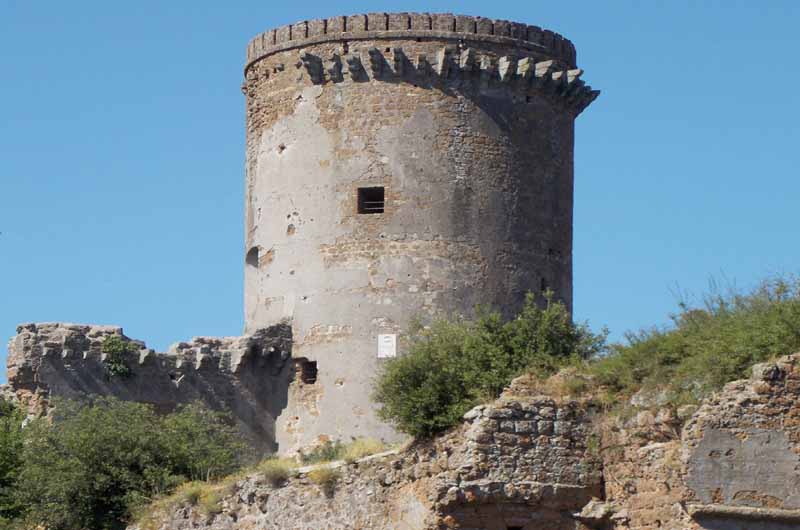 museo civico di nepi