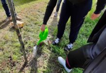L’Istituto “V. Cardarelli” di Tarquinia vince il bando regionale per progetti plastic free