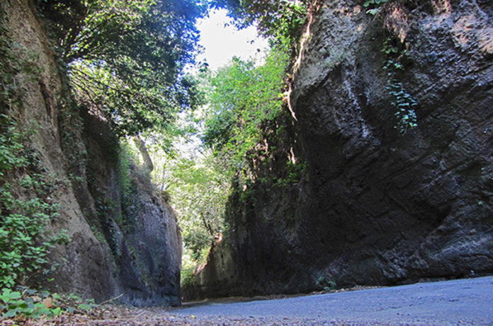tagliata del signorino cover tagliata del signorino