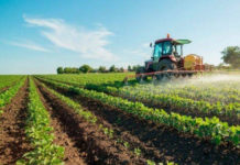 Sostegni Bis per l’agricoltura: gli uffici Epaca-Coldiretti Viterbo pronti l’assistenza