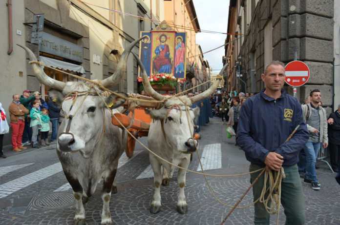processione san salvatore parrocchia s,maria nuova