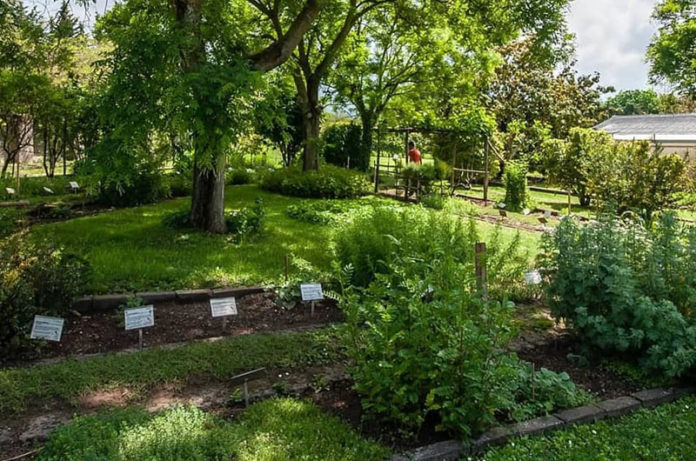 ORTO BOTANICO DESIGNE