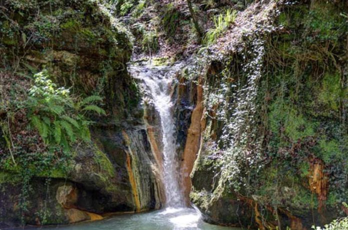 Riserva Naturale di Monte Rufeno Riserva Naturale di Monte Rufeno