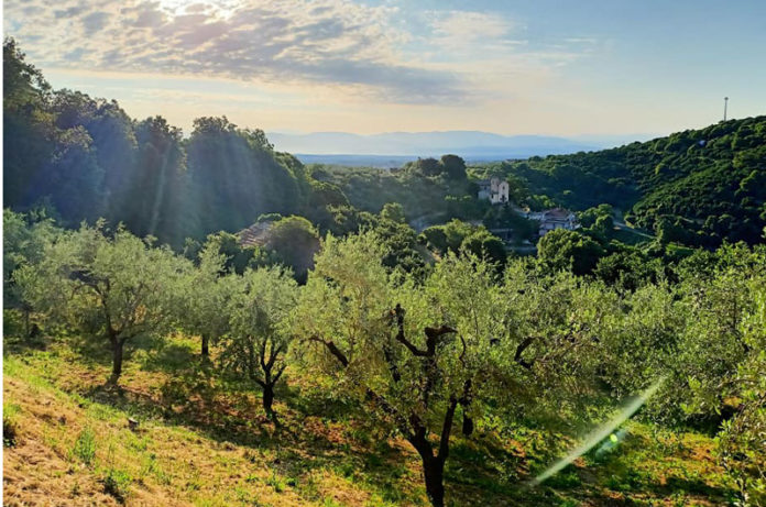 BIO DISTRETTO DELLA VIA AMERINA BIO DISTRETTO DELLA VIA AMERINA