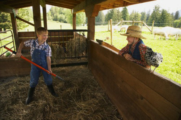 operatore di Fattoria Didattica