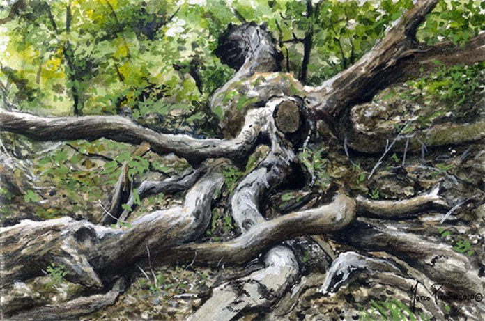 seminario Marco Preziosi