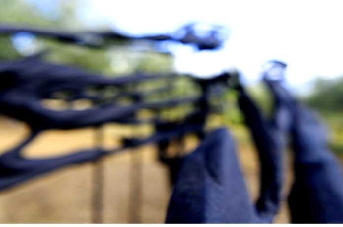 Sculture in campoBassani in Teverina