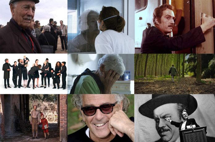 collage VCFF Valdarno