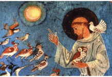 san_francesco