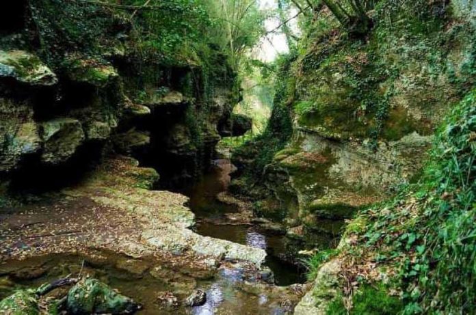 Agro falisco foto luca panichelli